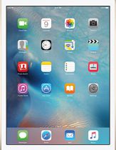 apple_ipad_mini_4_wi_fi_cellular